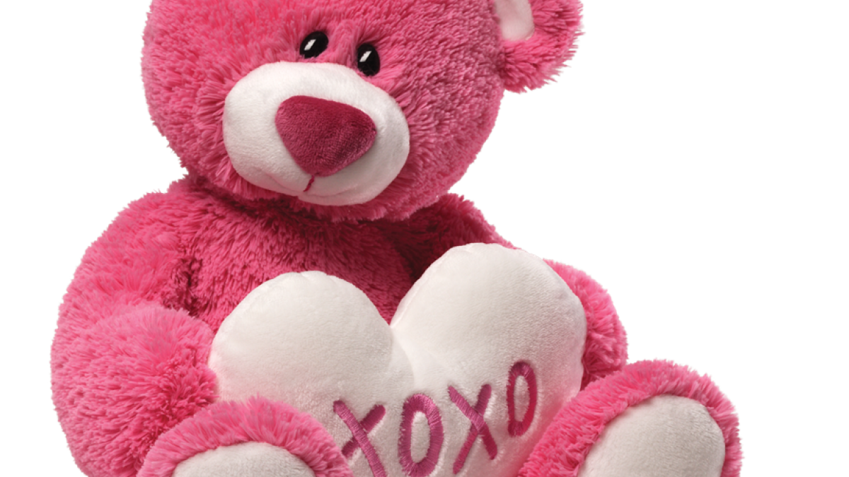 Pink teddy bear