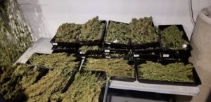 The Cure Room at Garden State Dispensary