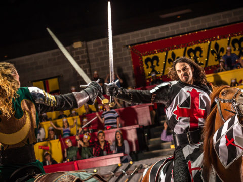 Medieval Times knights battling