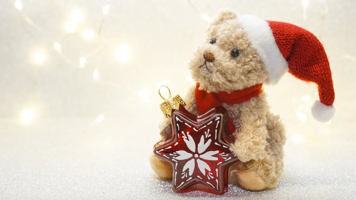 Teddy Bear Drive