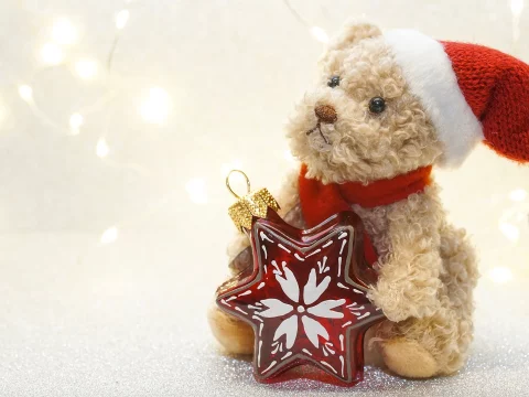 Teddy Bear Drive
